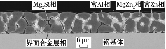 “高铝”锌铝镁镀层截面金相