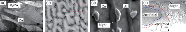 锌铝镁镀层显微组织